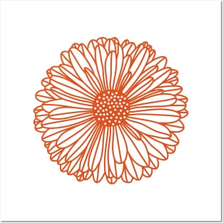 Gerbera Daisy Posters and Art